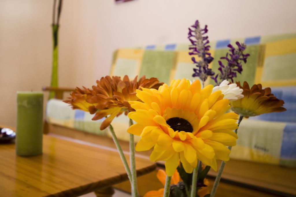 Apartamentos Dana Madrid Værelse billede